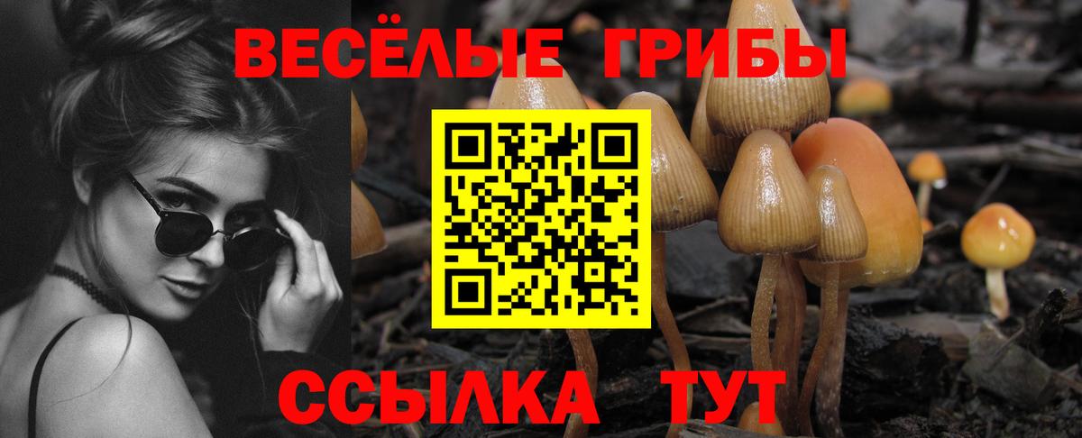 Псилоцибиновые грибы ЛСД  Вход с VPN  Кирово-Чепецк 